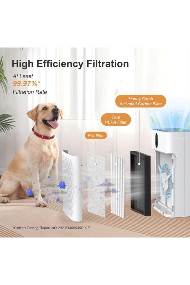 Air Purifier Hava Temizleme Cihazı Ev Taşınabilir Gerçek H13 HEPA Karbon Filtre Hava Temizleyici