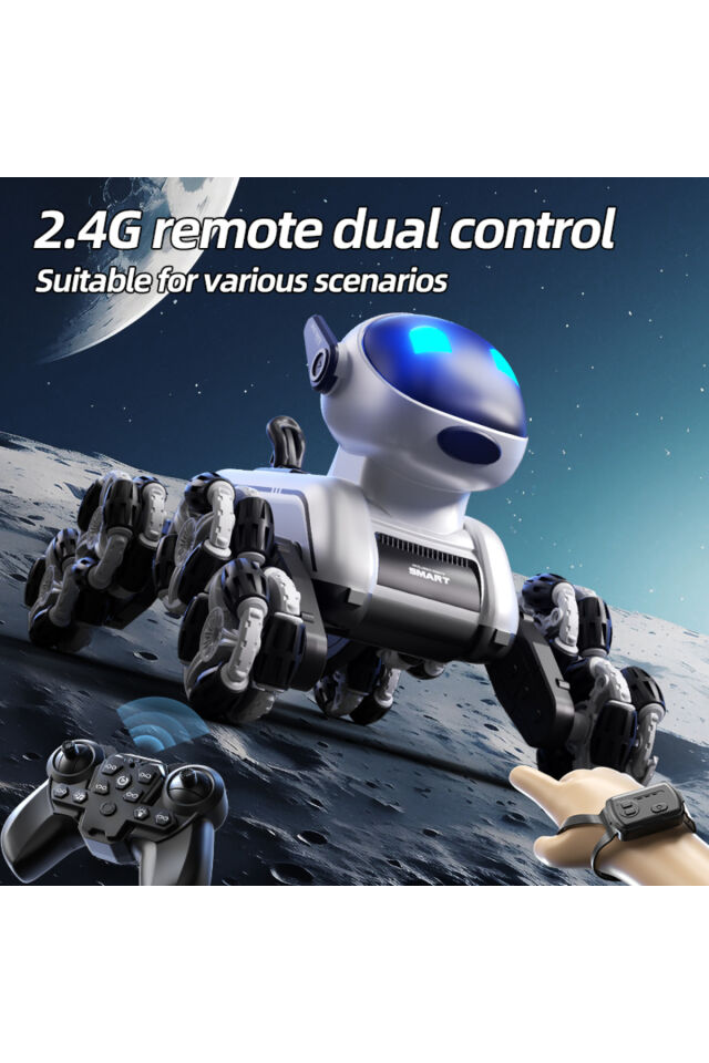 2026 Yeni İnteraktif Uzaktan Kumandalı ve Hareket Kontrollü Akrobasi Robot Köpek, Çocuklar için Müzikli ve Işıklı 2.4G